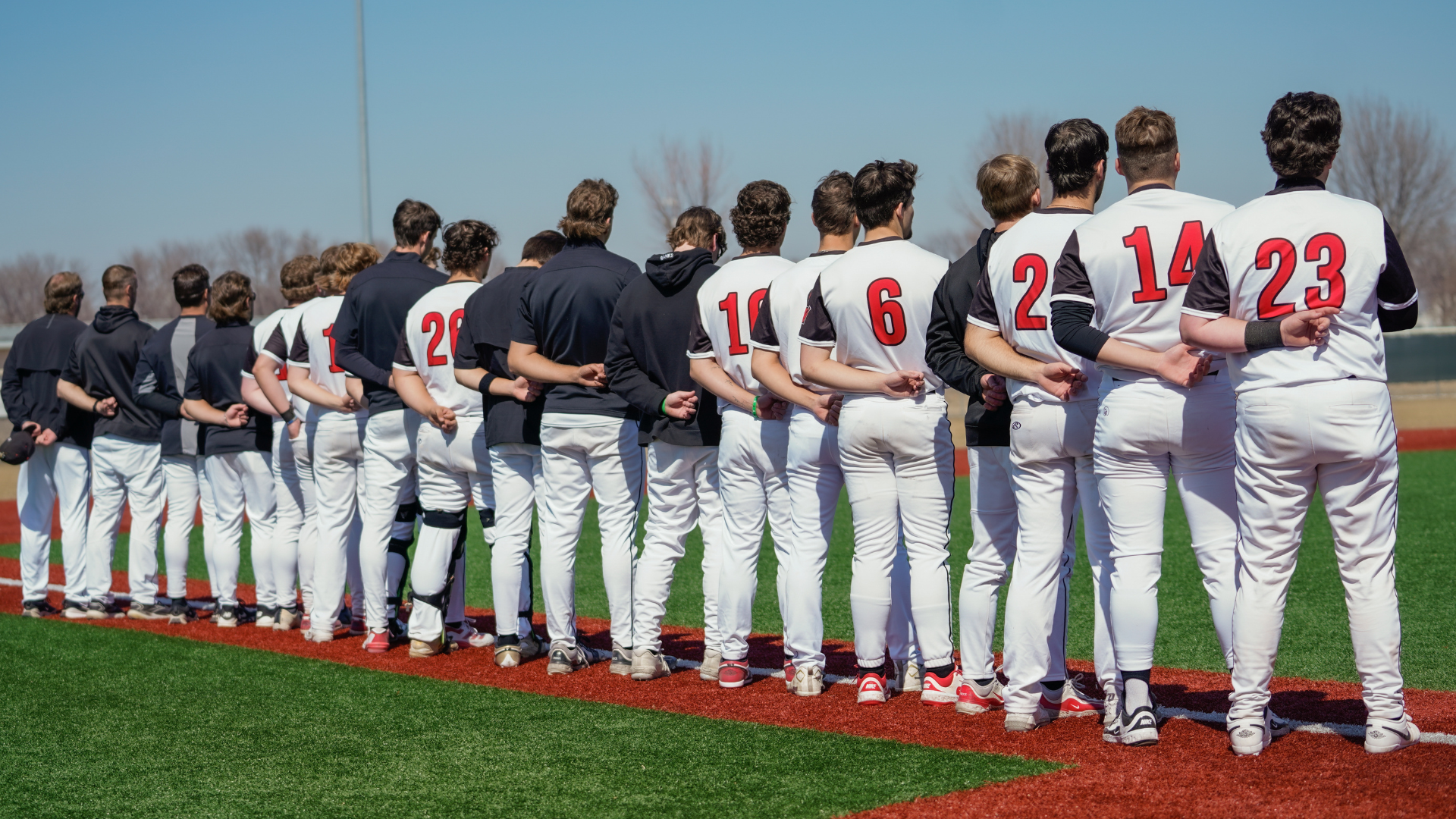Mid-Season Baseball Recap